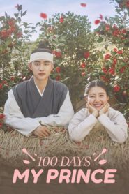 100 Days My Prince รัก 100 วันของฉันและองค์ชาย ตอนที่ 1-16 พากย์ไทย