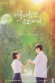 A Love So Beautiful (2020) ตอนที่ 1-24 ซับไทย