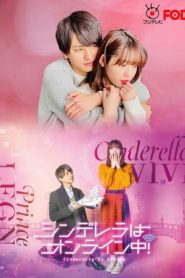 Cinderella Is Online (2021) เมื่อเราออนไลน์มารักกัน EP.1-10 พากย์ไทย