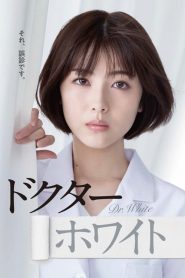 Dr.White (2022) ด๊อกเตอร์ไวท์ EP.1-11 ซับไทย