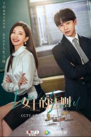 Lady Of Law (2022) เลดี้ออฟลอว์ EP.1-40 ซับไทย