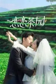Love in the Tea Garden (2024) รักเกิดในสวนชา EP.1-24 ซับไทย