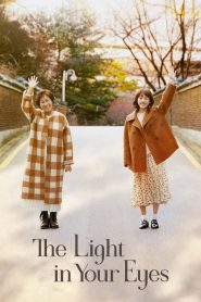 The Light in Your Eyes (2019) การเดินทางของวันวานและความรัก EP.1-12 พากย์ไทย