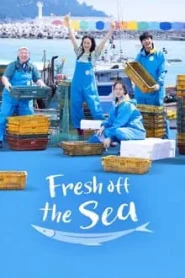 Fresh off the Sea (2024) EP.1-12 ซับไทย วาไรตี้เกาหลี