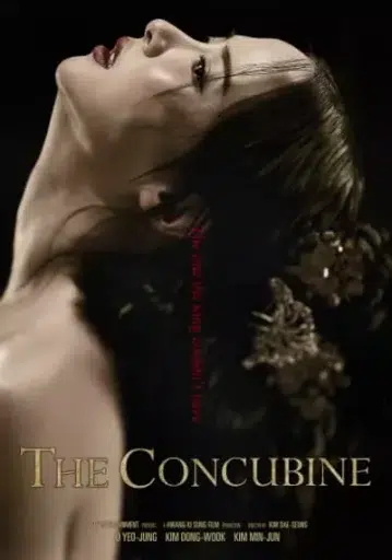 นางวัง บัลลังก์เลือด (The Concubine) 2012
