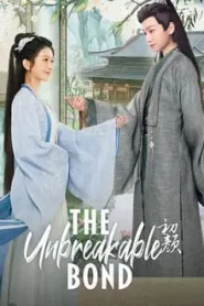 The Unbreakable Bond (2024) ลิขิตรักแรกพบ EP.1-30 ซับไทย