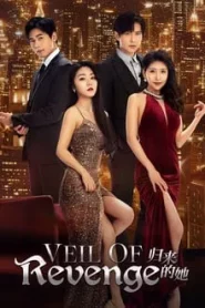 Veil of Revenge (2024) ขอรักกลับคืนใจ EP.1-20 ซับไทย