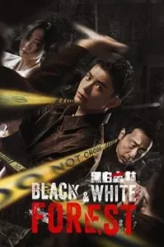 Black and White Forest (2024) ปมปริศนาป่าซ่อนเงื่อน EP.1-28 ซับไทย